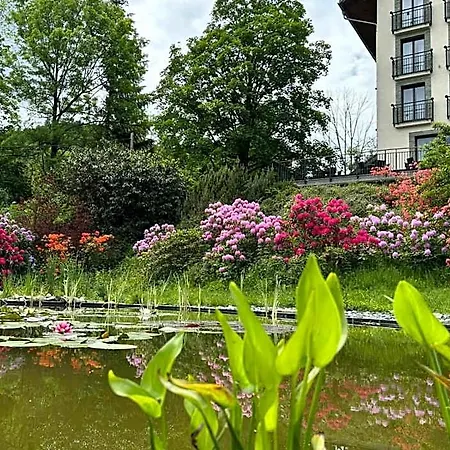 Hotel Beltine Forest 4*