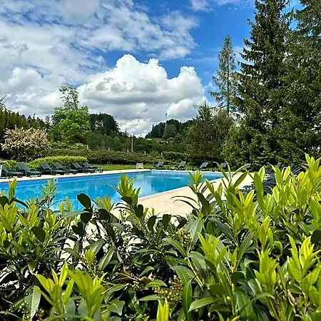 Beltine Forest 4*